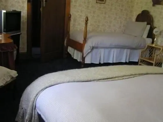 Colonial Accommodation at Undine - Oda