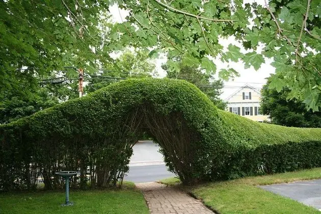 Colonial House Inn & Restaurants