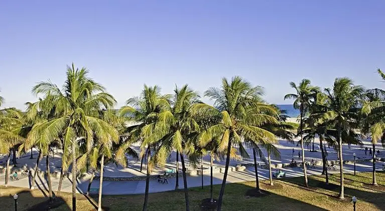 Colony Hotel Ocean Drive