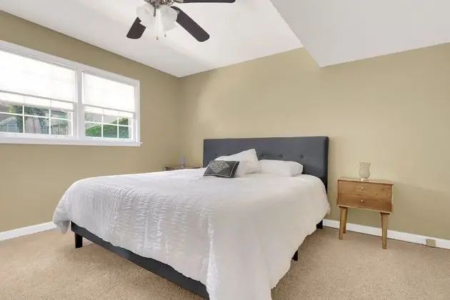Colony Suite