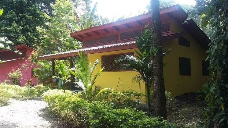 Colores del Caribe