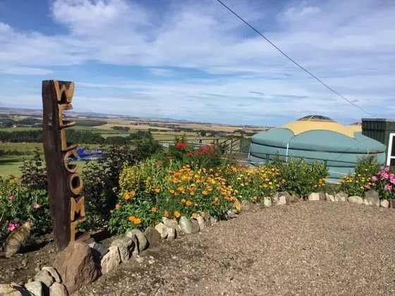 Colourful Mongolian Yurt Enjoy a new Experience,