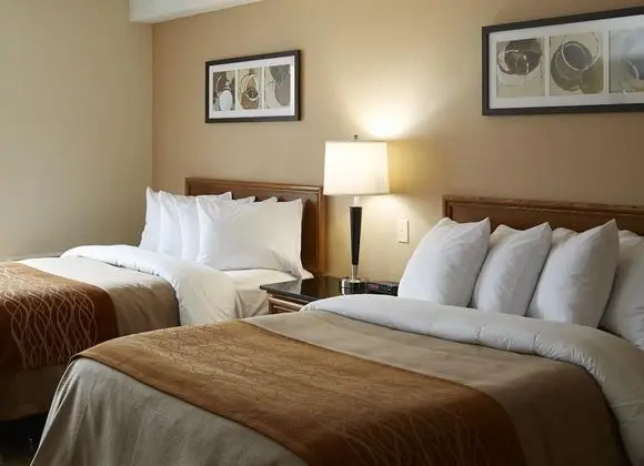 Comfort Inn Airport East