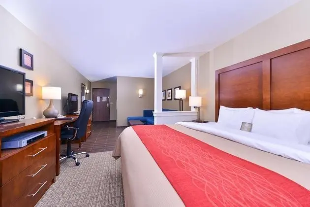 Comfort Inn Alamosa Area