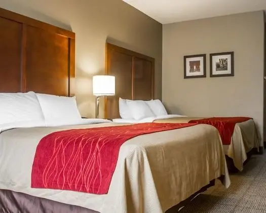 Comfort Inn Amite City