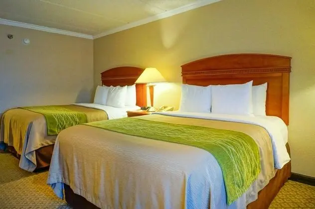 Comfort Inn Anaheim Resort