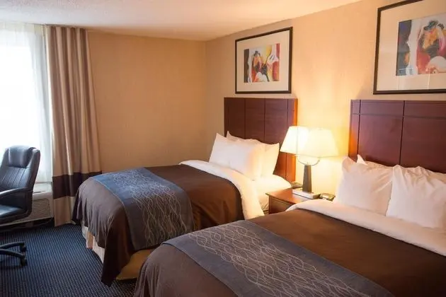 Comfort Inn Anderson South