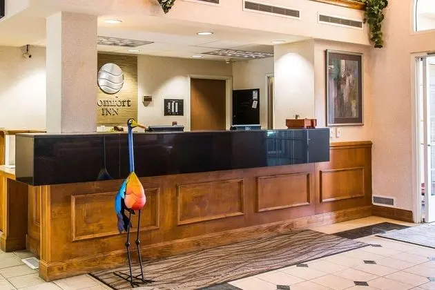 Comfort Inn Ann Arbor Area