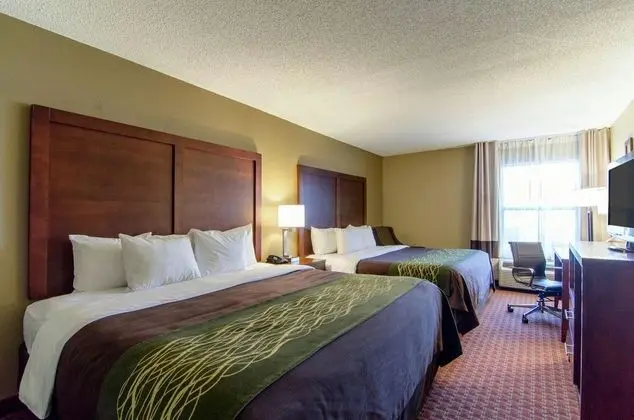 Comfort Inn (Apex) - Genel