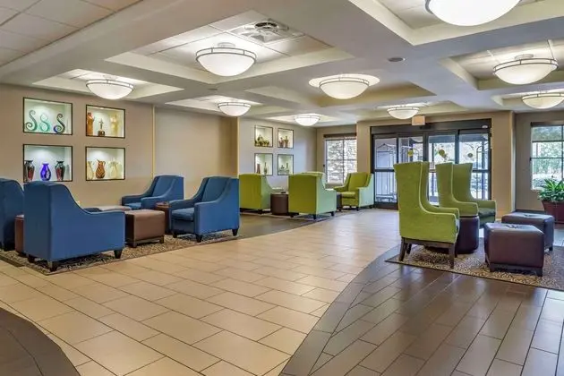 Comfort Inn Athens - Lobi
