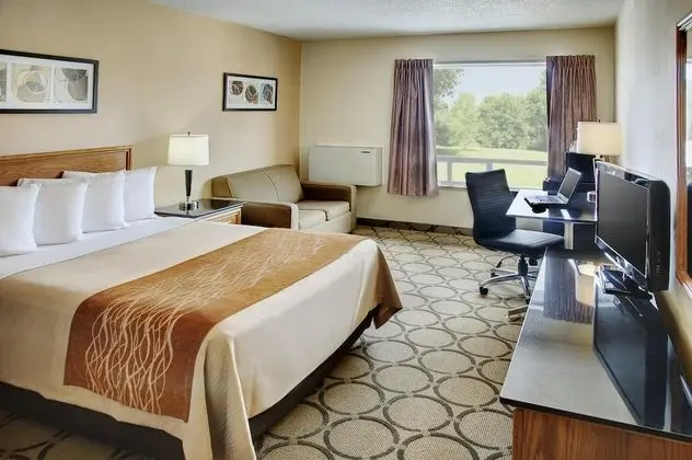 Comfort Inn Hotel Campbellton