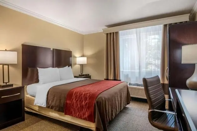Comfort Inn Columbia Gorge - Oda
