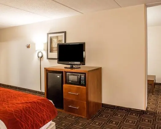 Comfort Inn Downtown