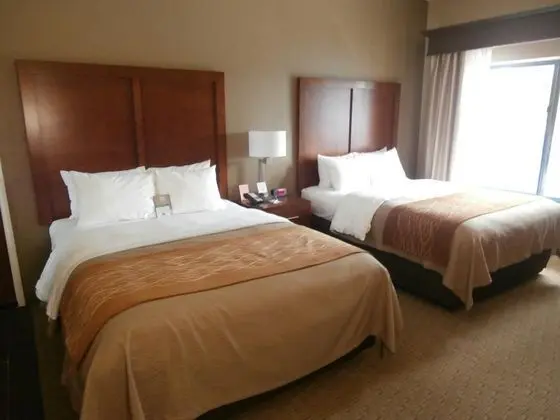 Comfort Inn & Executive Suites