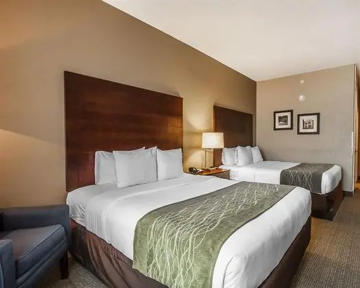 Comfort Inn Foscue Park