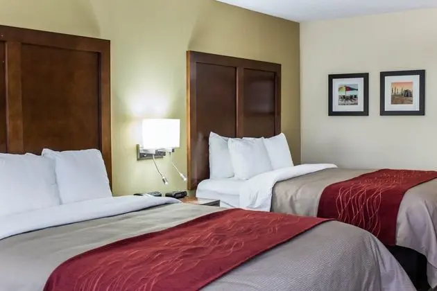 Comfort Inn Garner Clayton I-40 - Genel
