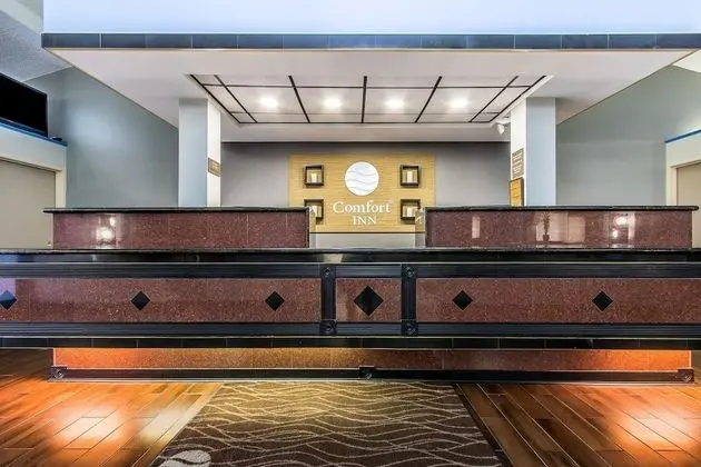 Comfort Inn I-65 at Airport Blvd - Lobi