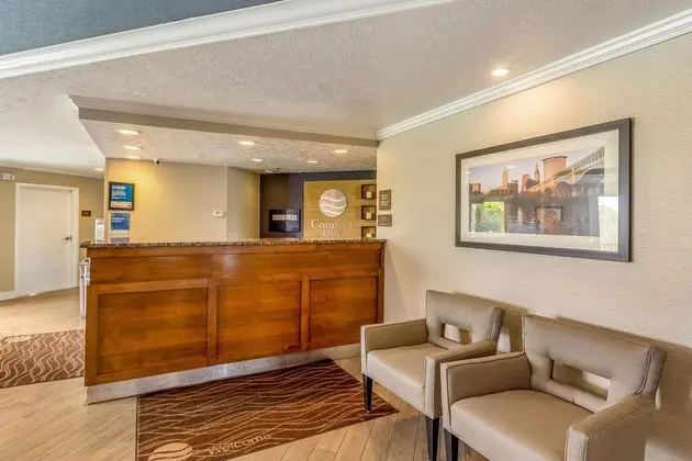 Comfort Inn - Lobi