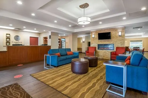 Comfort Inn International Dr. - Lobi
