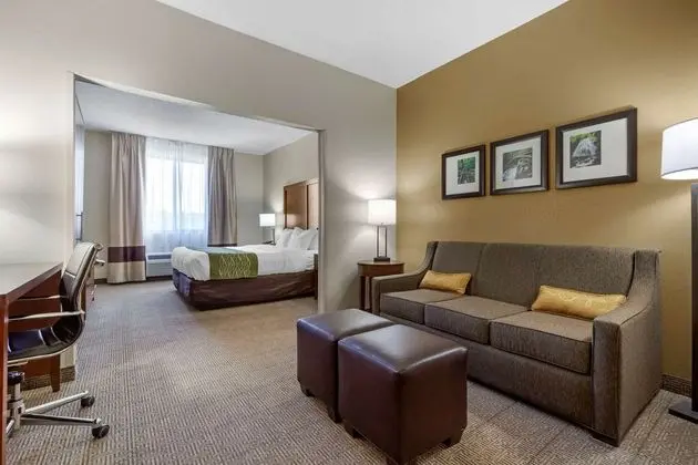 Comfort Inn Lenoir - Öne Çıkan Resim