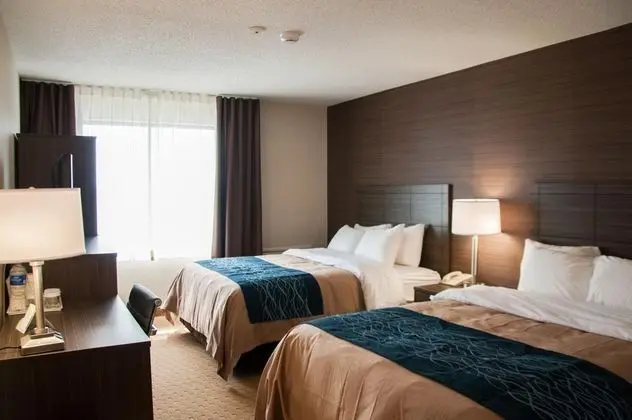 Comfort Inn Levis