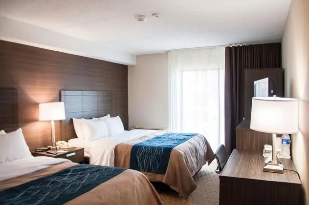 Comfort Inn Levis - Genel