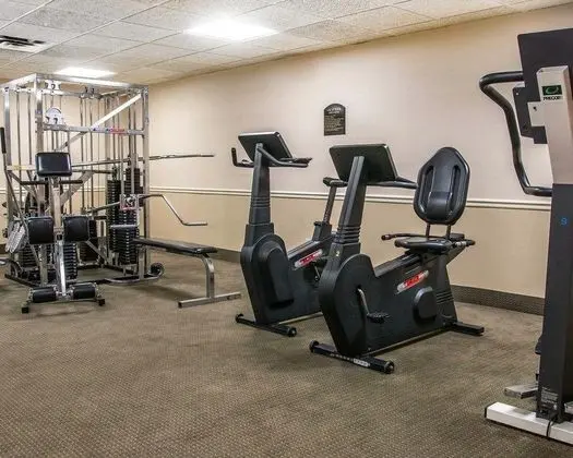 Comfort Inn (Livonia)