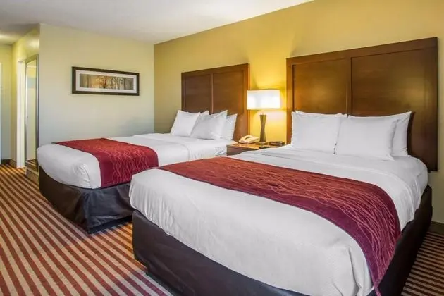 Comfort Inn Maingate - Oda