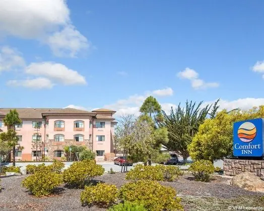 Comfort Inn (Marina)