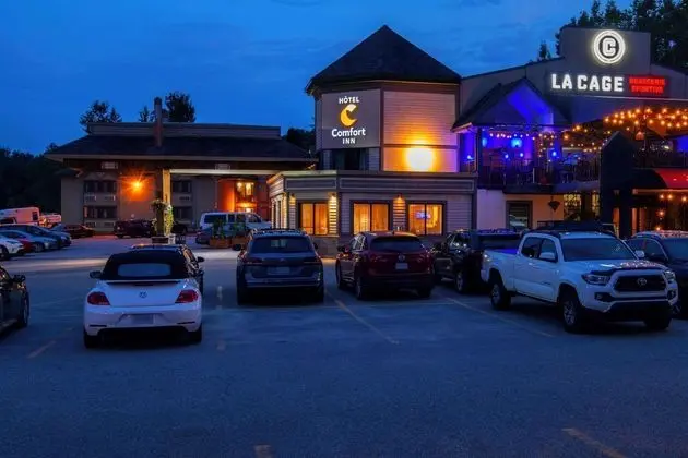 Comfort Inn Hotel Mont Laurier - Öne Çıkan Resim
