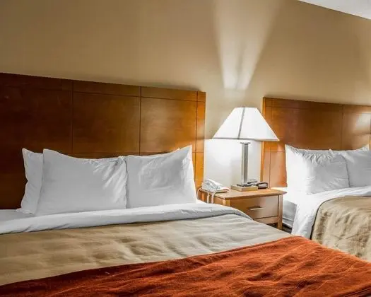 Comfort Inn Moultrie Area