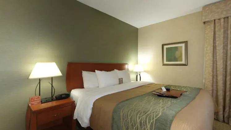 Comfort Inn Near Greenfield Village