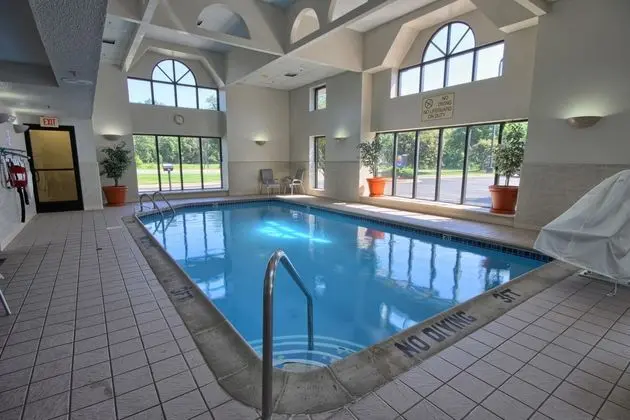 Comfort Inn Near Greenfield Village - Havuz