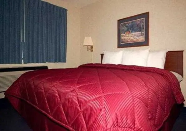 Comfort Inn North Air Force Academy - Oda