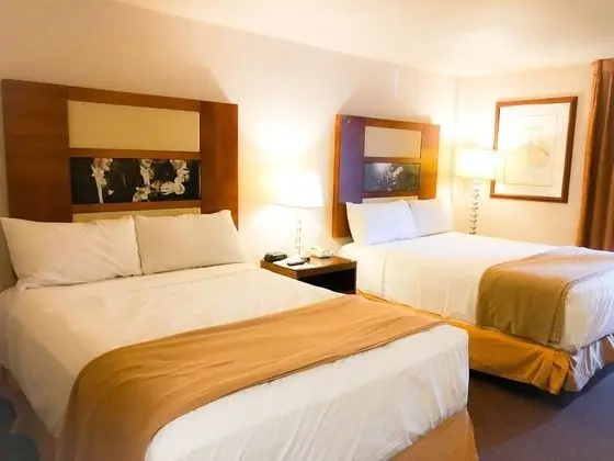Comfort Inn North