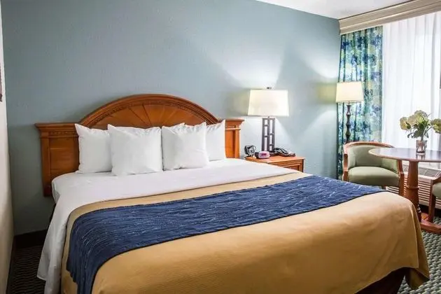 Comfort Inn On the Ocean - Oda