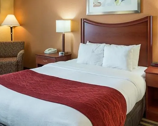 Comfort Inn Petersburg - Fort Lee