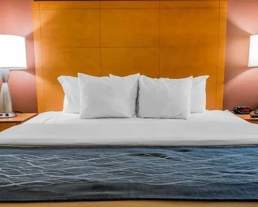 Comfort Inn (Plymouth)