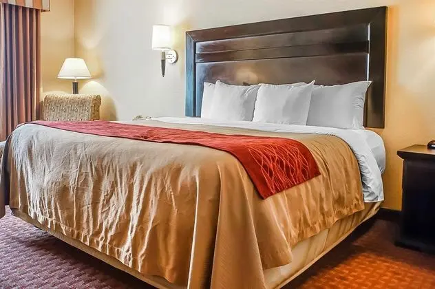 Comfort Inn Roswell