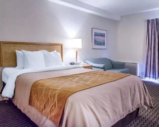Comfort Inn Hotel Saint John