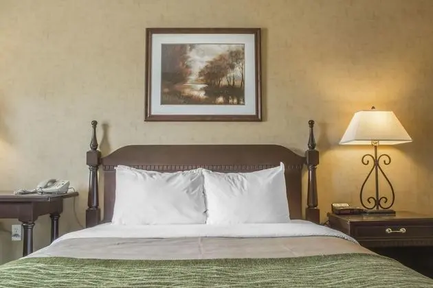 Comfort Inn
