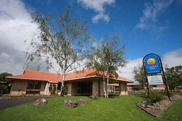 Comfort Inn Silver Birch - Genel