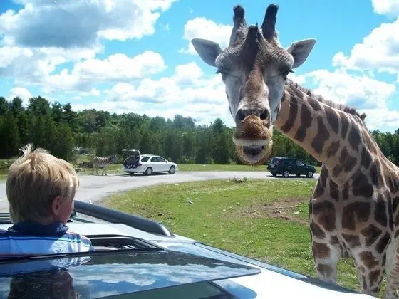 Comfort Inn South Shore-Boucherville