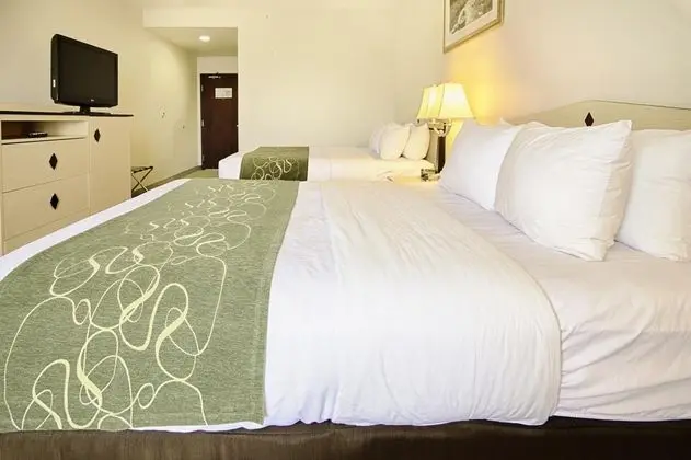 Comfort Inn & Suites Airport Rene