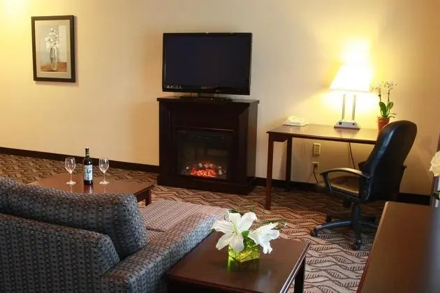Comfort Inn and Suites Ambassador Bridge Windsor