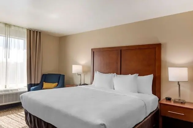 Comfort Inn & Suites - Oda