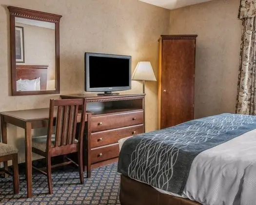 Comfort Inn & Suites Coldwater Area