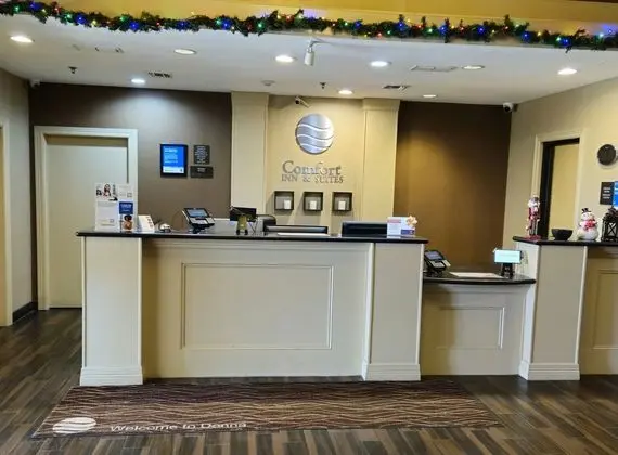 Comfort Inn & Suites Donna near I-2 - Lobi