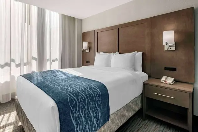 Comfort Inn & Suites Downtown Brickell - Port of Miami - Öne Çıkan Resim