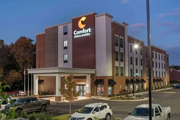 Comfort Inn & Suites Downtown near University - Dış Mekan